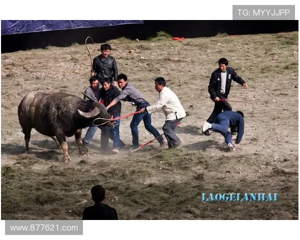 探索9游会ag老哥俱乐部的独特魅力，结识志同道合的老哥朋友共度精彩时光