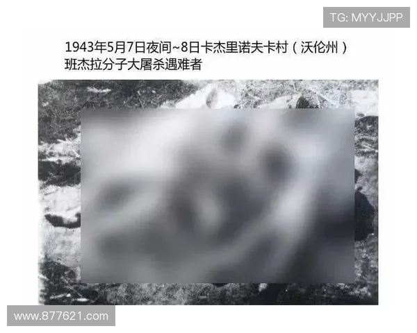 血流成河：影视作品中震撼人心的血腥场景与背后意义分析